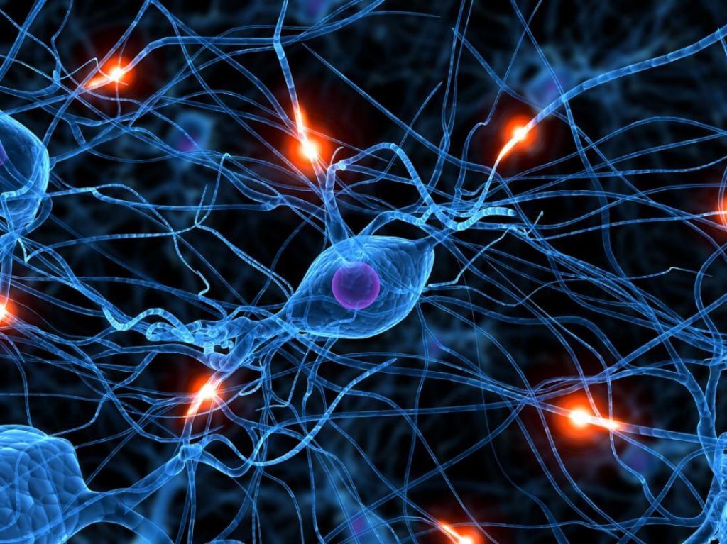 شبکه عصبی در هوش مصنوعی